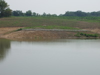 2007 Jack Strawhacker photos of ponds