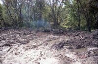 1993 flood and Flint River debris removal