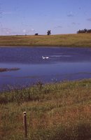 Wetland Restoration Project.