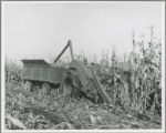 Corn picker 227