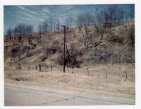 Small trees grow on hill by road