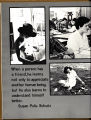 1980 Yearbook