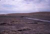 Soil Erosion, 1986