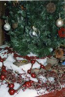 Christmas Tree displays