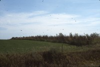 Gary Otto farm.