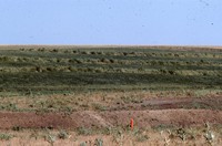 New terraces on Harold Droegmiller's farm.