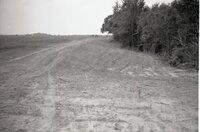 1995 Fields with tire tracks 