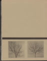 1975 Yearbook