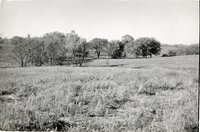 Unidentified Field in Bloomfield Township