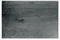 Big Wyacondah Watershed, Site 27-L