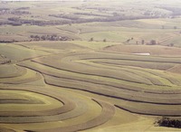 County farm, 1995