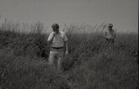 1970's Group of men in tall grass