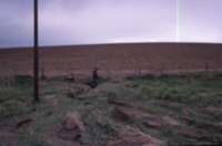 Soil Erosion, 1986