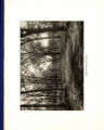 1914 Yearbook