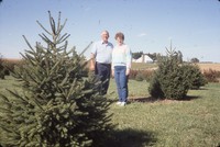 Windbreak on the farm of Don and Phyllis Conley.