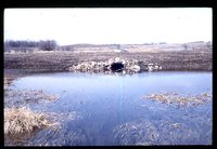 Wisconsin Tube - Farm Drainage System.