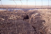 Simonsen-Rupp farmland in winter.