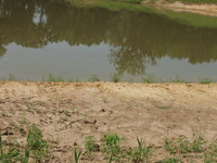 2007 Jack Strawhacker photos of ponds