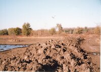 2002  Wetland Construction at Brockway LLLP