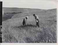 George Holmberg and property owner Lester Willams examine some native grass.