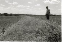 Man stands in grassy field