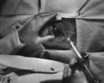Medical procedure in Large Animal Clinic, 1935