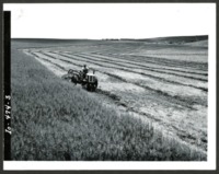 Work to be done on Erwin W. Cole Farm