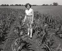 Woman in Striped Shorts