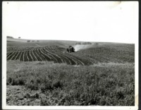 Tractor Working on Jim Weston's Farmland