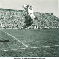 Cheerleader at Iowa football game, The University of Iowa, 1947