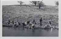 Group Sitting and Standing by Pond