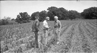 1978 Doug Cling, Ed Nelson and another man in field