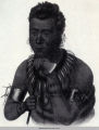 Chief Mahaska the Younger (1810-1852), a.k.a. Frances White Cloud, Ioway Nation; Mahaska County; Iowa