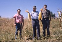 Three Unidentified Men Stand in Tall Grass, Two Holding Ear of Corn