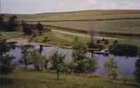 Two views of Pond with Green Trees in Front, barren purple tree across and  parked car