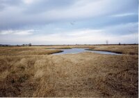 2002   Completed wetland program on Charles Poisel Property