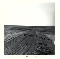 Terraces on Robert Wiese cropland