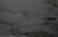 Hilly grass field