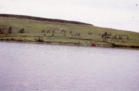 Lundquist farm pond and wildlife areas.