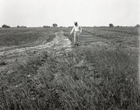 Man Points to Water Running Down Eroded Field