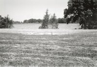 1995 Terraces on Dale Edmonds' Farm