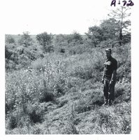 Ray Stillmunkes touring gully before conservation construction, 1969