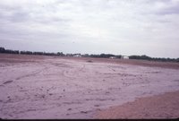 Standing water in brown field 