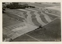 Willard Torgrim, 1938