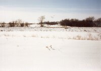 1994 - Animal Waste Lagoon Constructed by Keith Ball