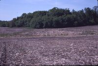 Larry Braby's Farm Before and After a Wetland Construction Project.