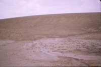 Soil erosion on the farm 