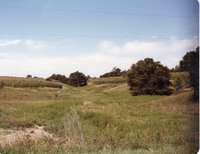 Photographs of Cornfields