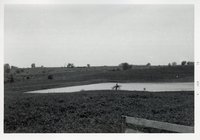 Photograph Collection Of Agricultural Land, 1973.