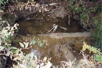 1999  Weir in feeder creek under gravel road